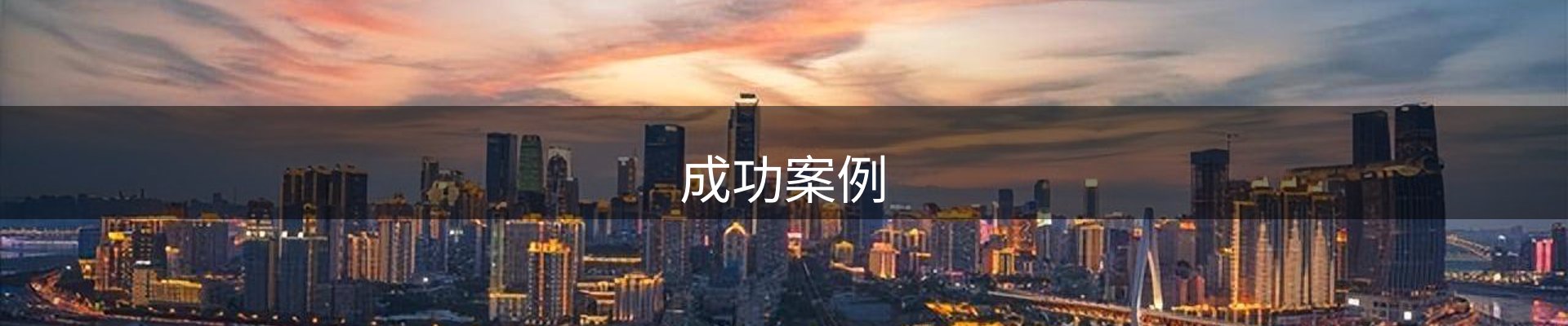 成功案例